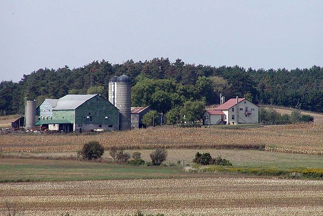 The scene of a rural farm.