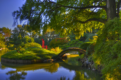 A beautiful arched bridge over a pond.